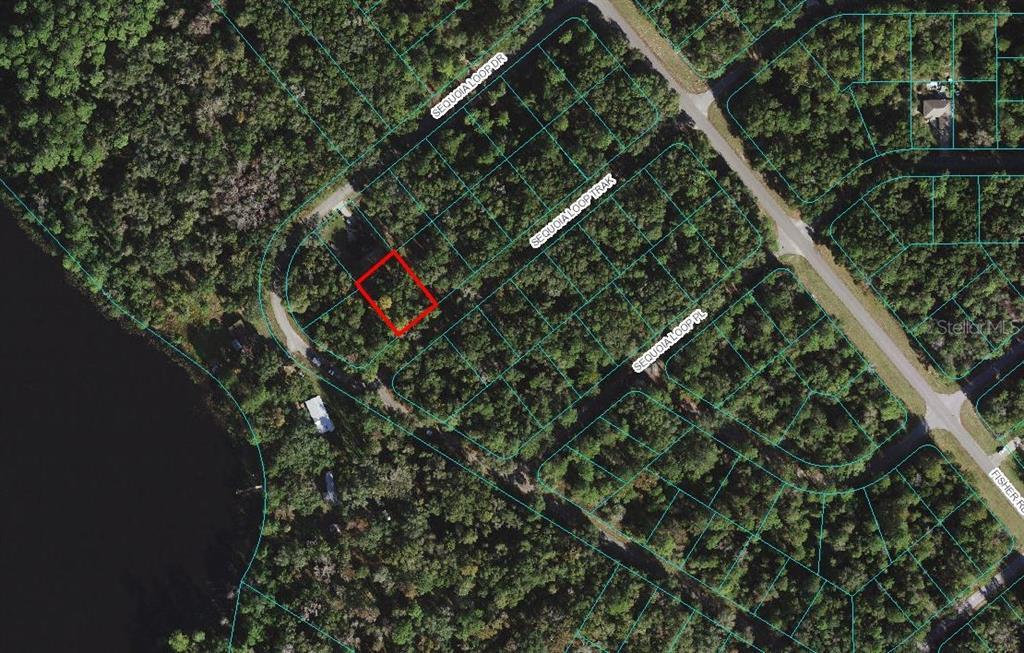 SEQUOIA  LOOP, OCKLAWAHA, Land,  for sale, The Mount Dora Group 