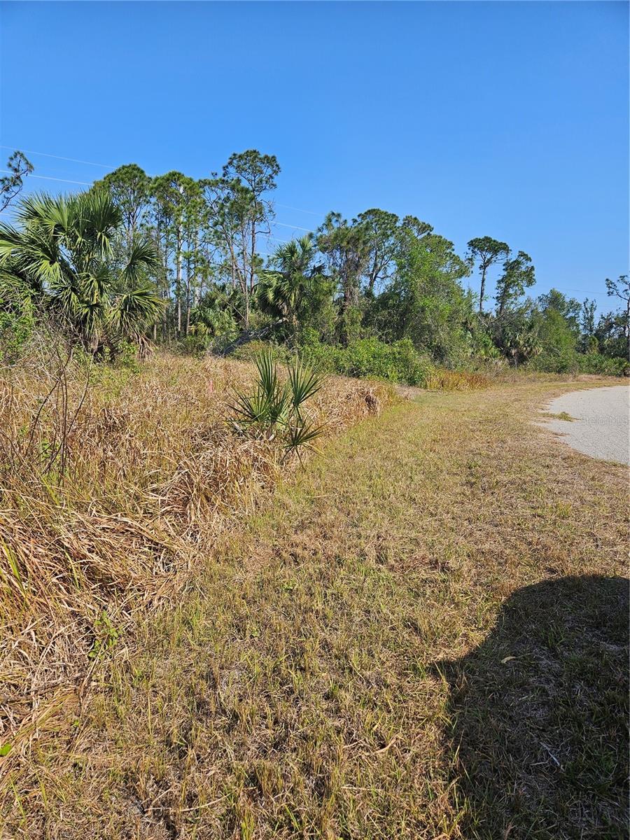 RAGLAND, NORTH PORT, Land,  for sale, The Mount Dora Group 