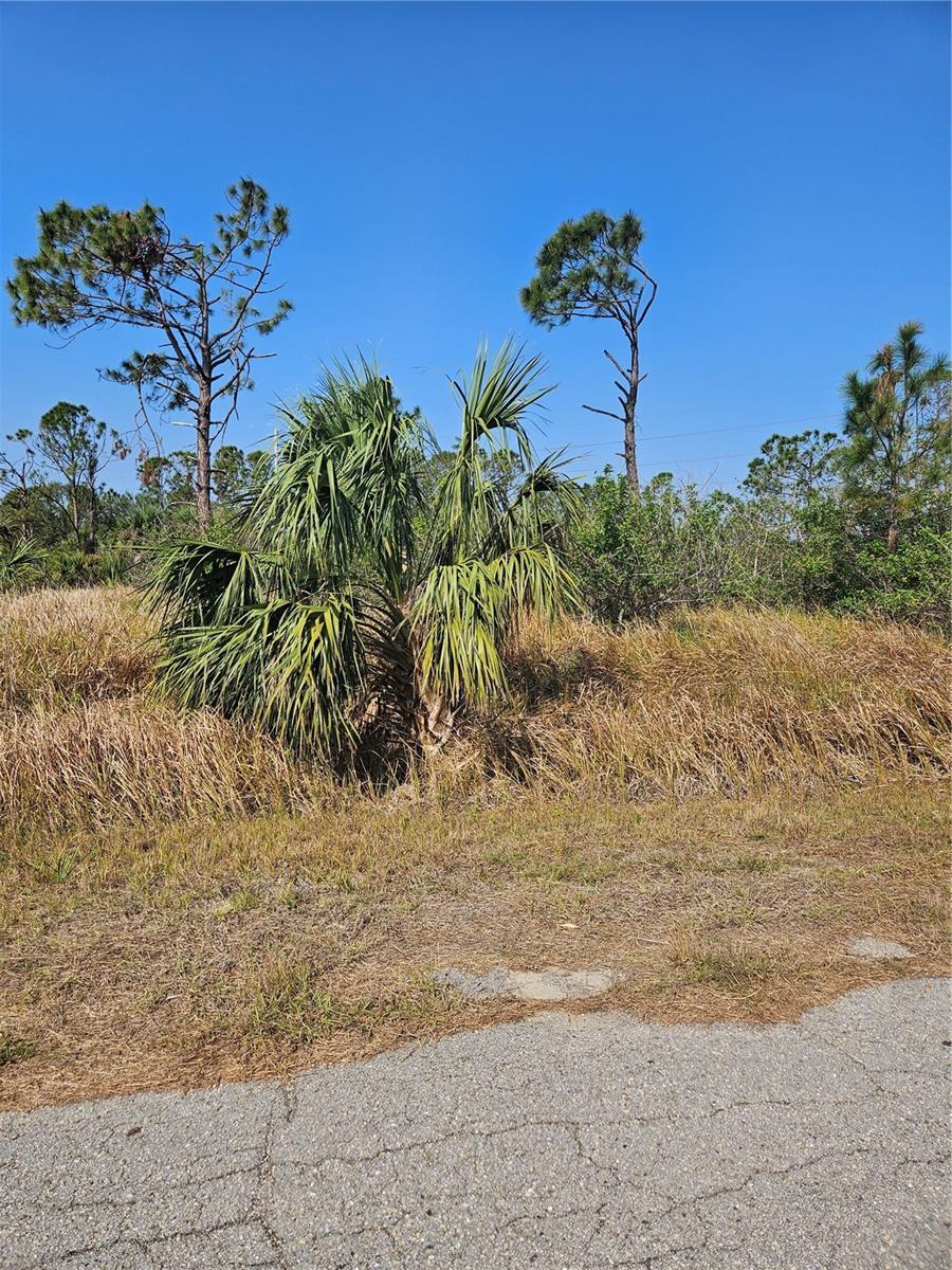 GLADVIEW, NORTH PORT, Land,  for sale, The Mount Dora Group 