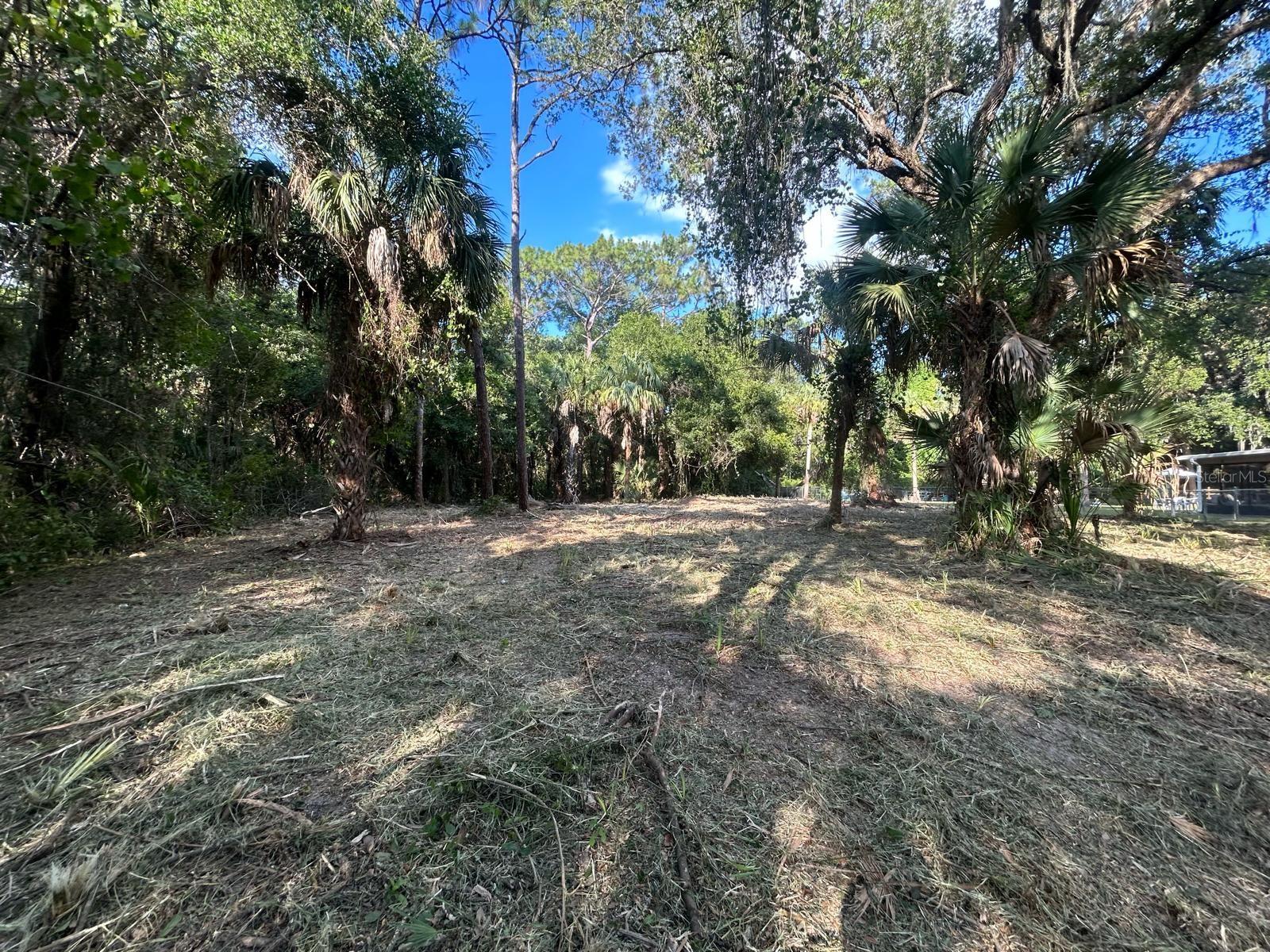 11155 CEDAR LAKE, CRYSTAL RIVER, Land,  for sale, The Mount Dora Group 