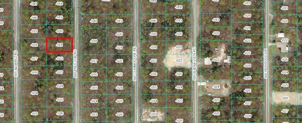 TREETOP, DUNNELLON, Land,  for sale, The Mount Dora Group 