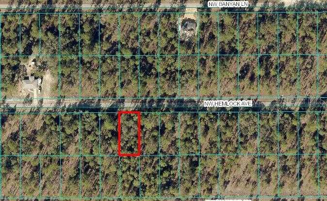 HEMLOCK, DUNNELLON, Land,  for sale, The Mount Dora Group 