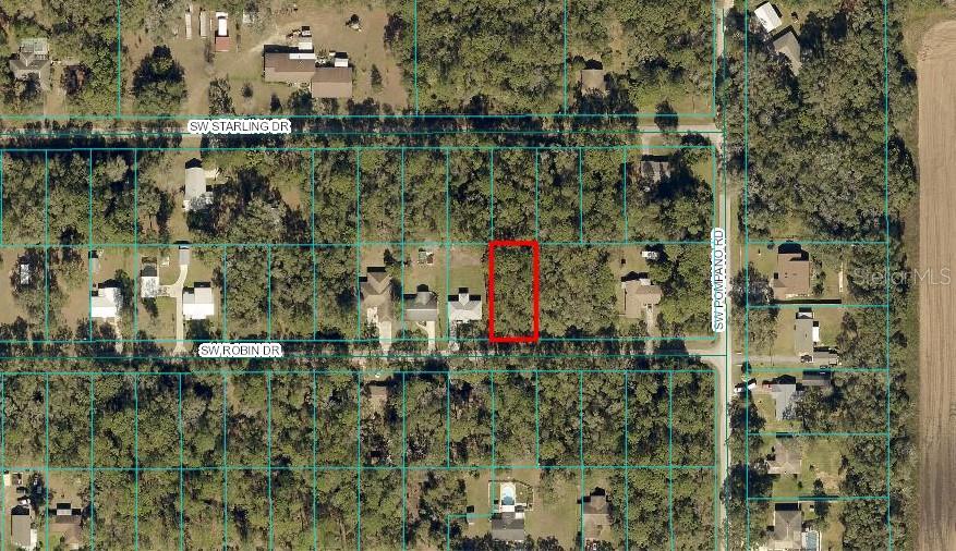 ROBIN, DUNNELLON, Land,  for sale, The Mount Dora Group 