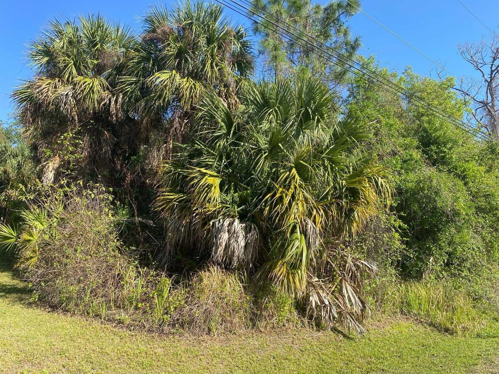 MARCELLA, NORTH PORT, Land,  for sale, The Mount Dora Group 