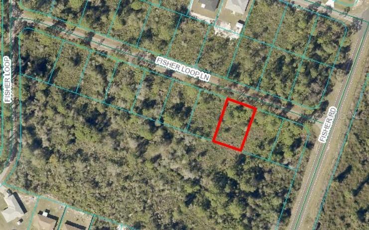 FISHER LOOP, OCKLAWAHA, Land,  for sale, The Mount Dora Group 